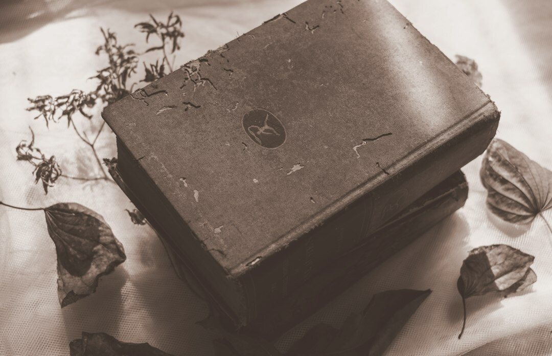 vintage mystery book cover